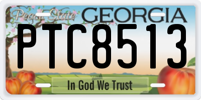 GA license plate PTC8513