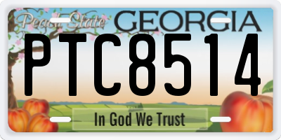 GA license plate PTC8514