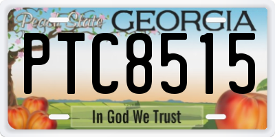 GA license plate PTC8515