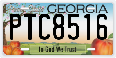 GA license plate PTC8516