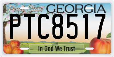 GA license plate PTC8517