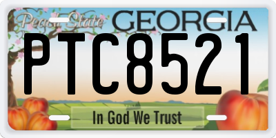 GA license plate PTC8521