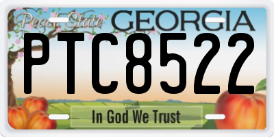 GA license plate PTC8522