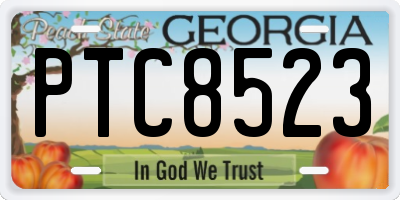 GA license plate PTC8523
