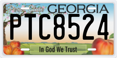 GA license plate PTC8524