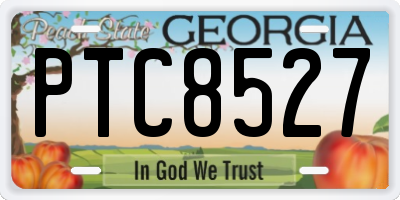 GA license plate PTC8527