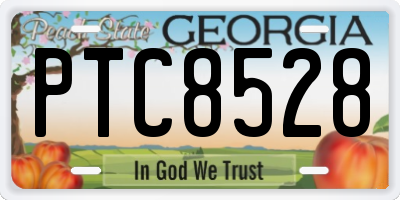 GA license plate PTC8528