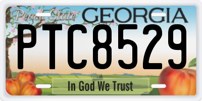 GA license plate PTC8529