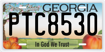 GA license plate PTC8530