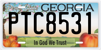 GA license plate PTC8531