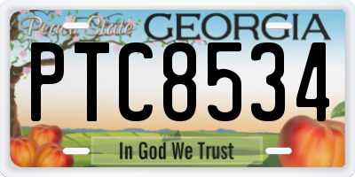GA license plate PTC8534