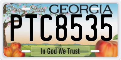 GA license plate PTC8535