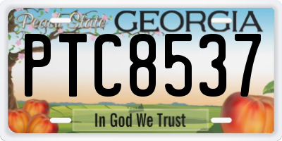 GA license plate PTC8537