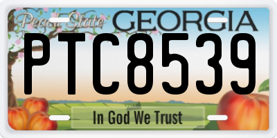 GA license plate PTC8539