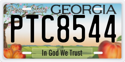 GA license plate PTC8544
