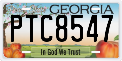 GA license plate PTC8547