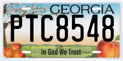 GA license plate PTC8548
