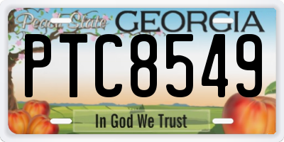 GA license plate PTC8549