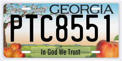 GA license plate PTC8551