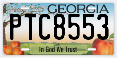 GA license plate PTC8553
