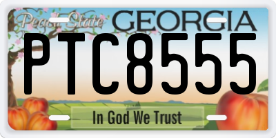 GA license plate PTC8555