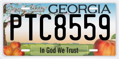 GA license plate PTC8559