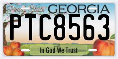 GA license plate PTC8563