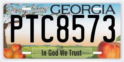 GA license plate PTC8573