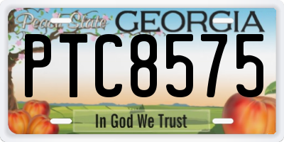 GA license plate PTC8575