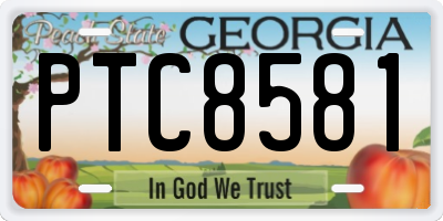 GA license plate PTC8581