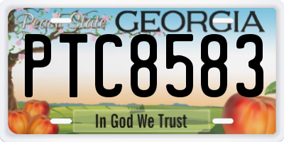 GA license plate PTC8583