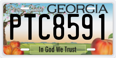 GA license plate PTC8591