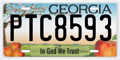 GA license plate PTC8593