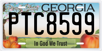 GA license plate PTC8599