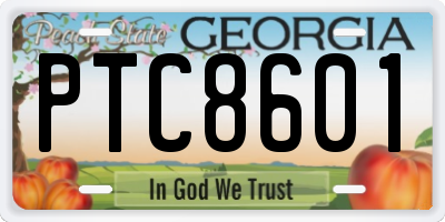 GA license plate PTC8601