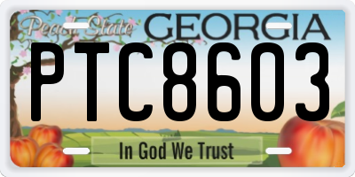 GA license plate PTC8603