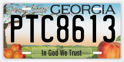 GA license plate PTC8613