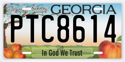GA license plate PTC8614