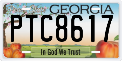 GA license plate PTC8617