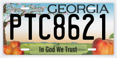 GA license plate PTC8621