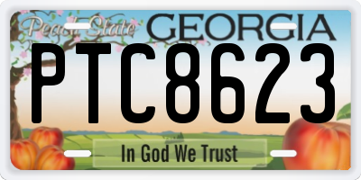 GA license plate PTC8623
