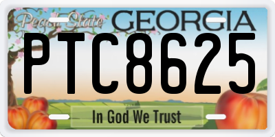 GA license plate PTC8625