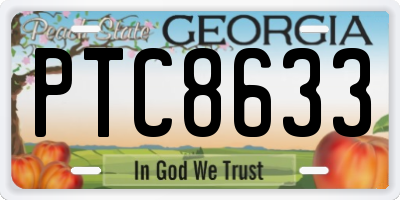 GA license plate PTC8633