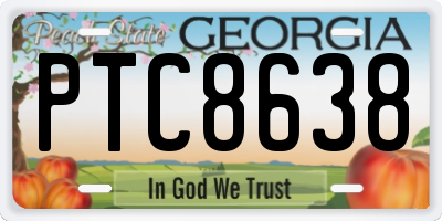 GA license plate PTC8638
