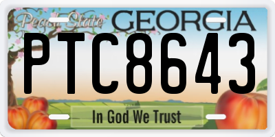 GA license plate PTC8643