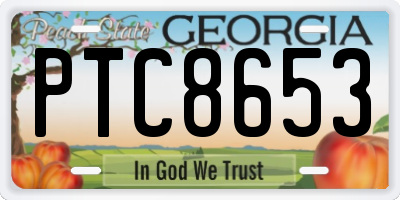 GA license plate PTC8653