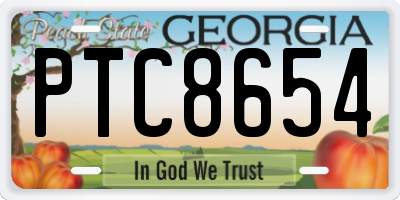 GA license plate PTC8654