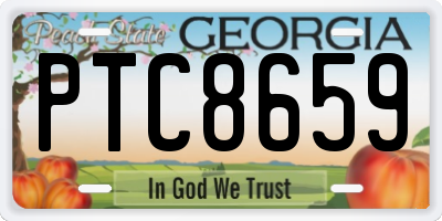 GA license plate PTC8659