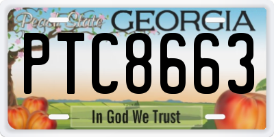 GA license plate PTC8663