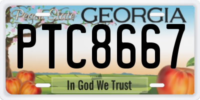 GA license plate PTC8667